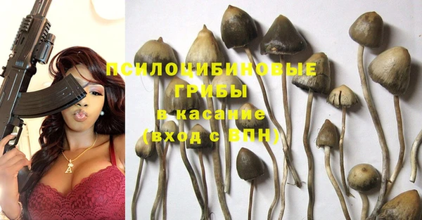 ECSTASY Вяземский