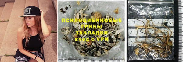 прущий лед Горняк