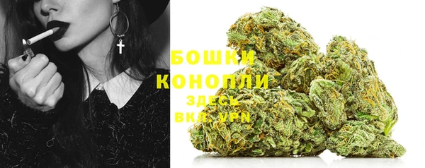 прущий лед Горняк