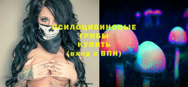 ешки Горно-Алтайск