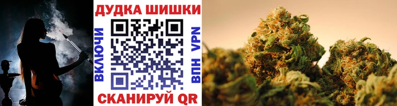 МАРИХУАНА THC 21%  Купить закладки  Новоржев 
